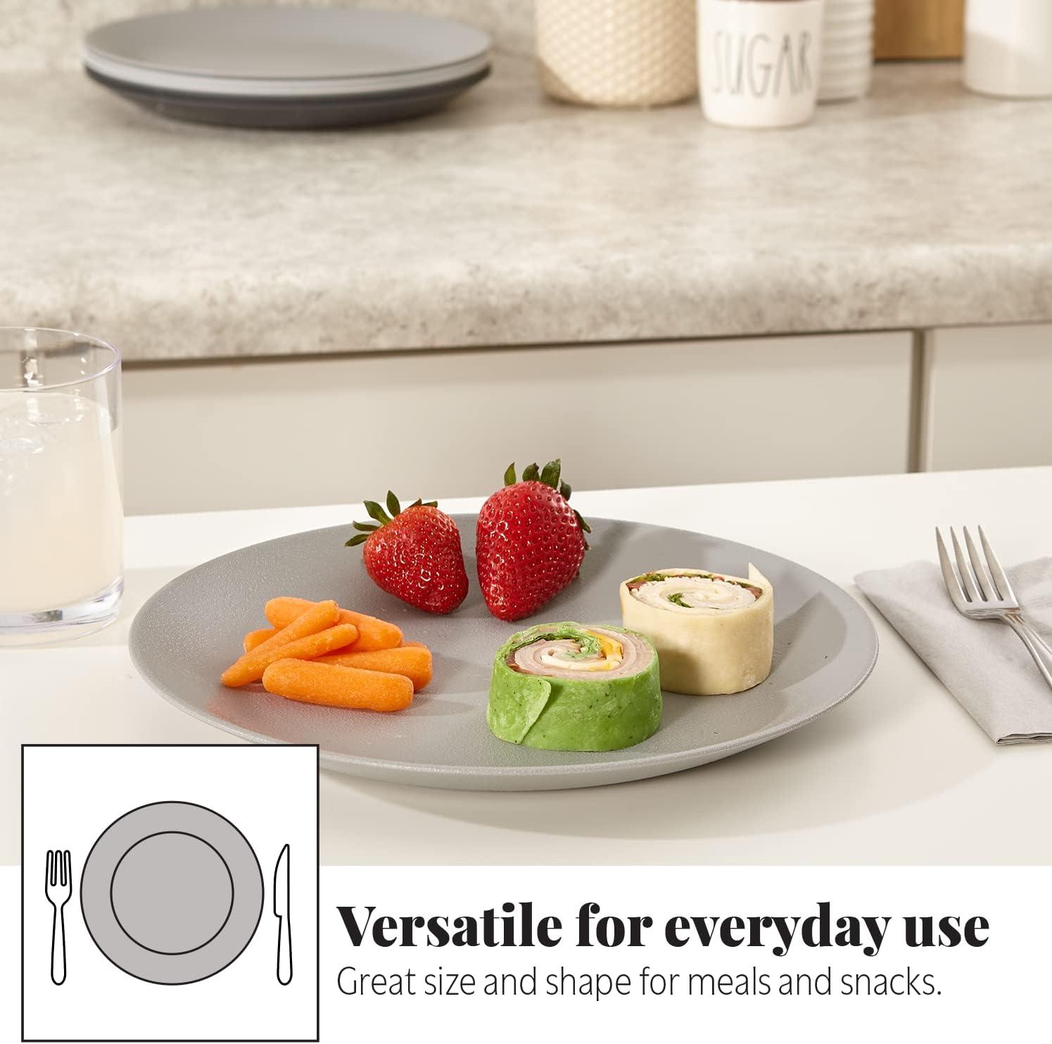 imageUS Acrylic Everest UltraDurable Plastic 10 inch Dinner Plates in Grey Stone Set of 6 Reusable BPAFree Made in the USA Dishwasher Safe DinnerwareGrey Stone